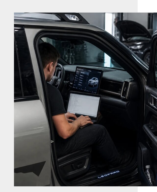 Русификация BYD Leopard 3 в Дальнегорске по цене от 20505 р. | ФастМобиль-Дль
